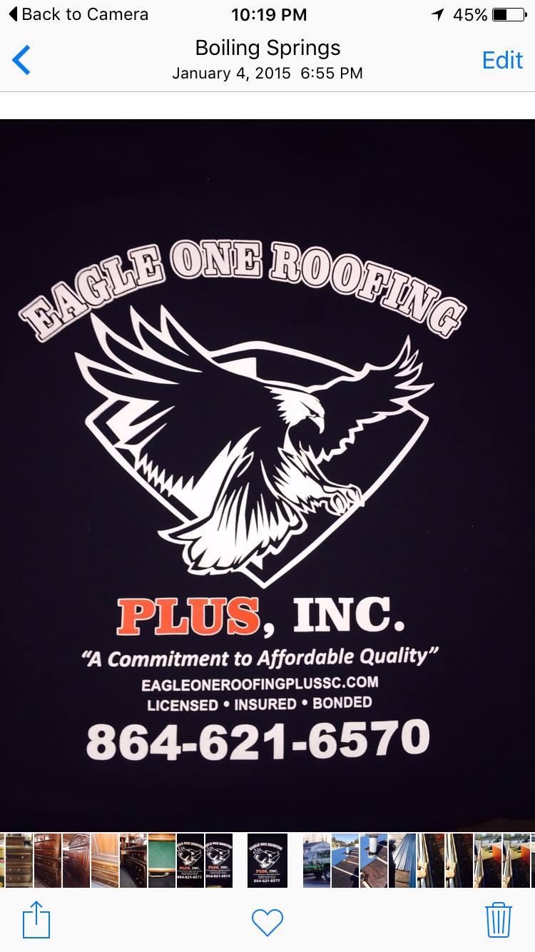 Eagle one roofing plus inc.
