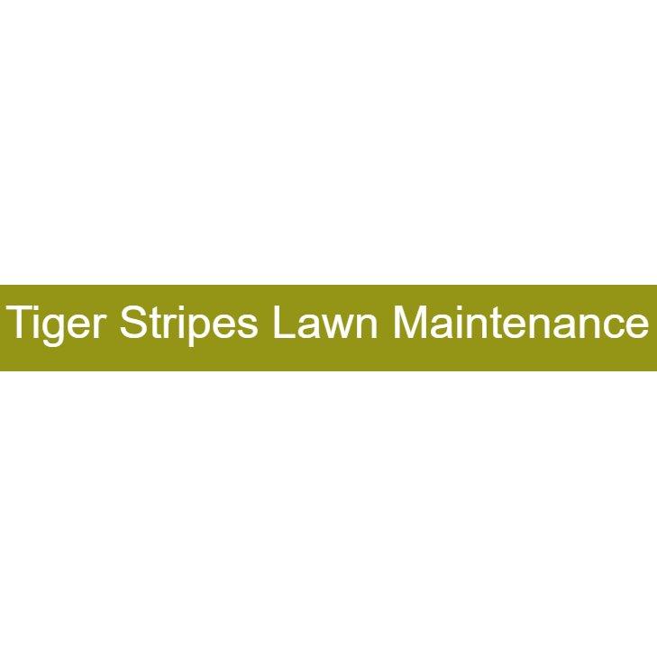 Tiger Stripes Lawn Maintenance